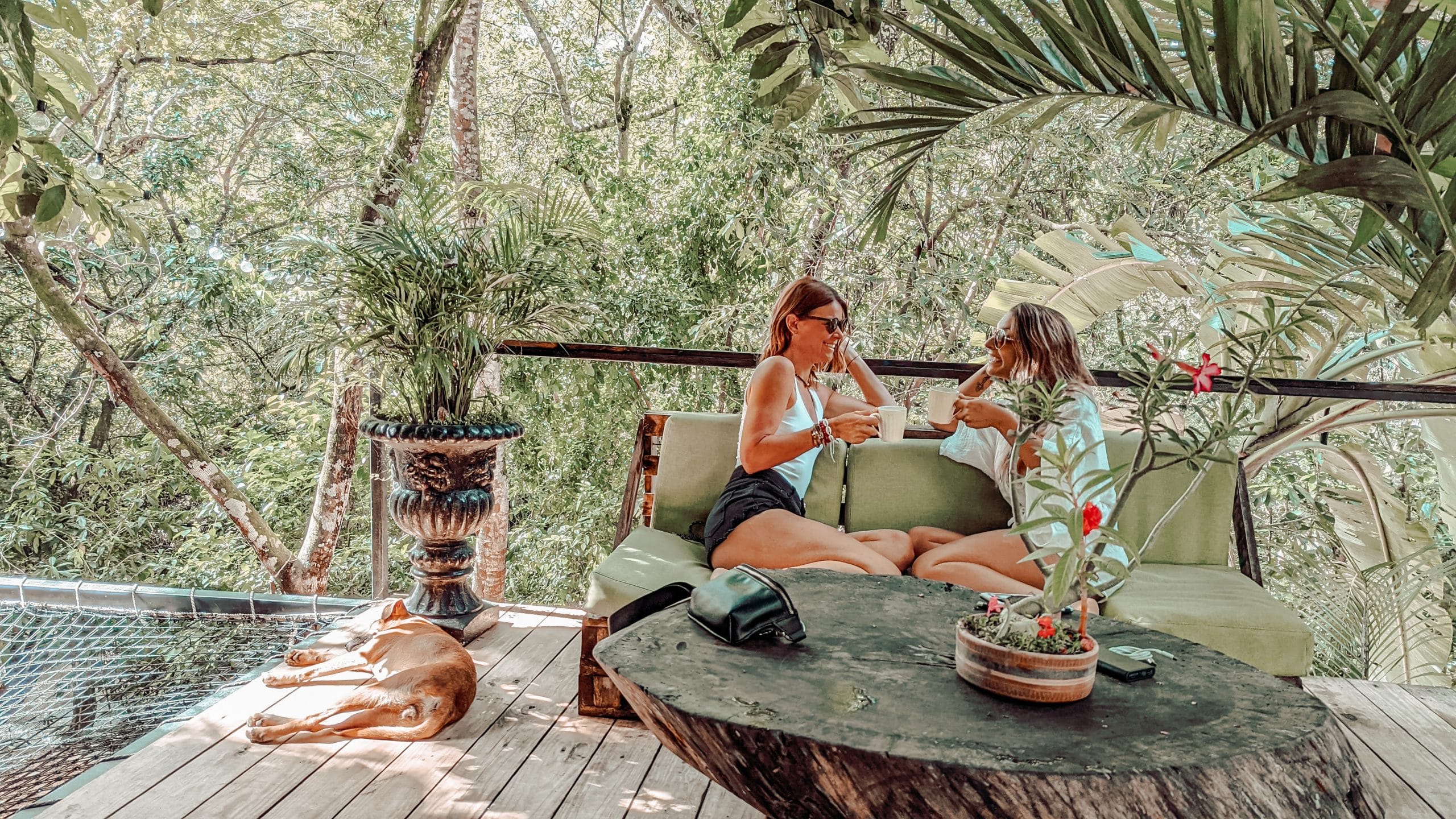 COMMENT TRANSFORMER TES CONNAISSANCES EN REVENUS EN LIGNE